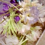 10369340_1394693757417886_1787345015_a