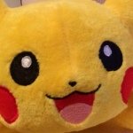 10617053_1520438861523168_773334285_a