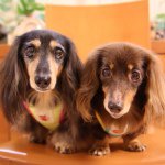 Profile_3620123_75sq_1381468088