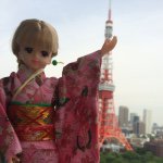 11282709_848803805169546_407143017_a