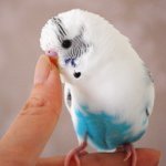 Profile_240841845_75sq_1351388498