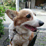 11142222_676988715764311_994133156_a