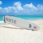 10899056_794065473998751_402886586_a