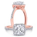 11137927_868131239921325_1185624559_a