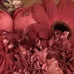 10948308_1538872849723432_1643202746_a