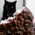 11049130_401119586735344_344191996_a