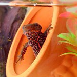 891480_530313420430175_1767891206_a