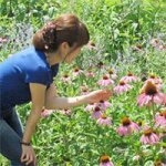 10957108_416442085198357_1796713189_a