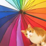 11269676_1590770344510646_625422533_a