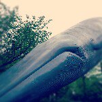 Profile_49733200_75sq_1354294701