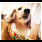 Profile_17630197_75sq_1325371137