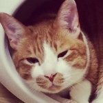 Profile_2429289_75sq_1391253459