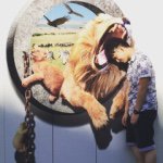 11311205_357465337776223_1352820780_a