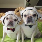 10784975_1507311546199088_228868771_a