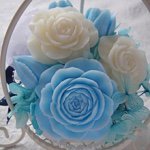 10957680_387404594762472_473330261_a