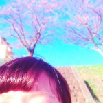 11374542_379669082234938_900785504_a