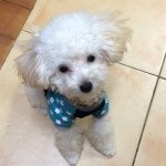 10362157_274195742762317_220695305_a