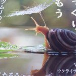 10684275_440677232757312_507421594_a