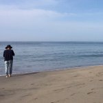 11252102_1586704228286003_2126132059_a