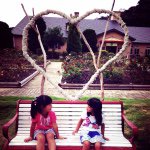 11007968_848665145192338_1517865060_a