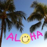 11190087_779164128866431_1793851208_a