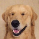 11241741_377100939149303_1294630740_a