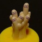 10723735_1586582511564750_600968850_a