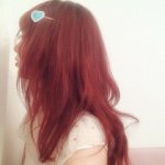 11022941_337291519803775_142076384_a