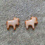 11032899_851484468241013_769550217_a