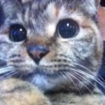 10950259_1558754977744483_1449922153_a