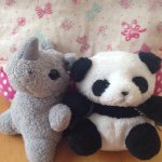 10986317_1786339514923569_624539267_a