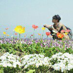 11335486_464425870389174_123375393_a