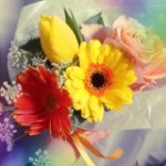 11257882_433742513470852_374907001_a