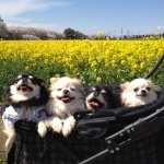 Profile_247627954_75sq_1397042458