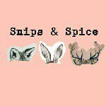 10990539_1548806372052695_51763012_a