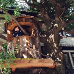 11078975_1587610688162171_517961558_a