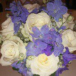 10953172_1572761899644546_757485695_a