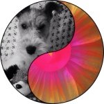 Profile_809846451_75sq_1389355210