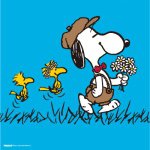 11273323_1832500216975491_2084675614_a