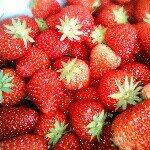 10522340_1434678126812665_146491990_a