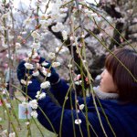 11008284_1597697497133283_690905039_a