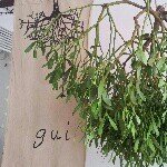 10326463_608074425958179_1368554504_a