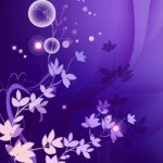 11256380_1615789448667704_1453634200_a