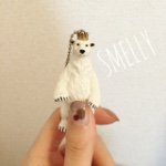 1515212_1592852237628199_229185657_a