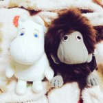 11055805_870818502961790_1690388914_a