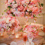 11236121_1492948887625204_1803902647_a