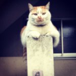 Profile_28709621_75sq_1360412370