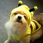 Profile_210807980_75sq_1345572970