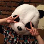 10787916_1493276647612540_121902637_a