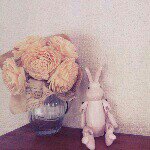 10661169_810327585656652_1679859505_a